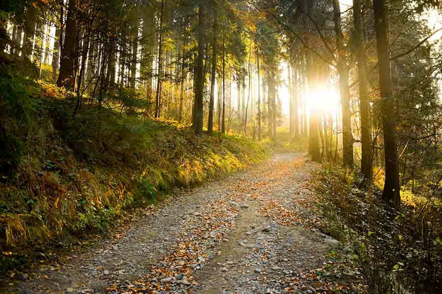 A nature hike