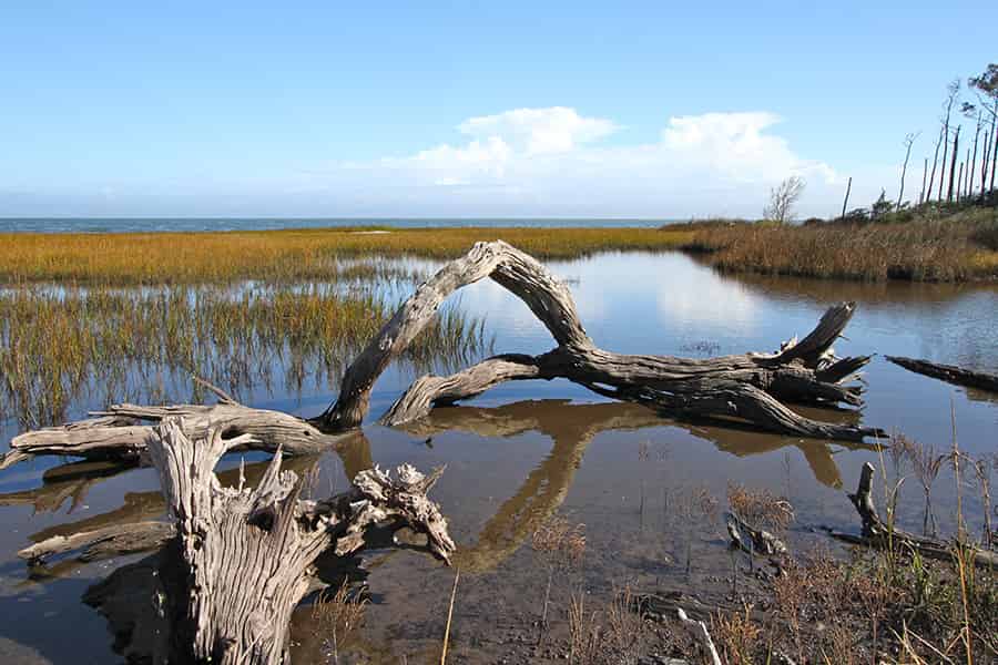 Natural rhythms abound in nature